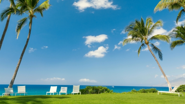 百度网盘变了！进化成学习神器：音视频转文稿、加字幕，还能一键生成PPT！